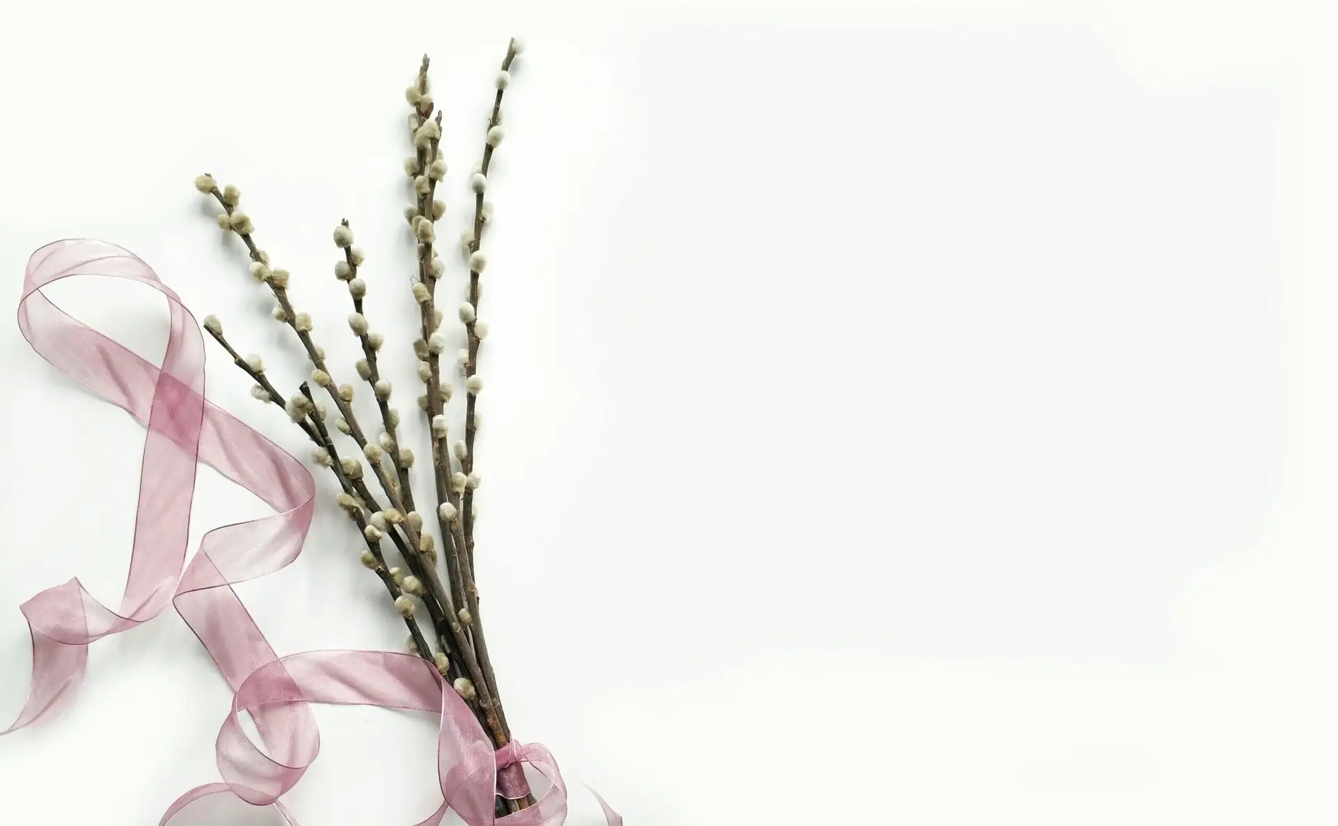 yellowgreen-weasel-682701.hostingersite.com